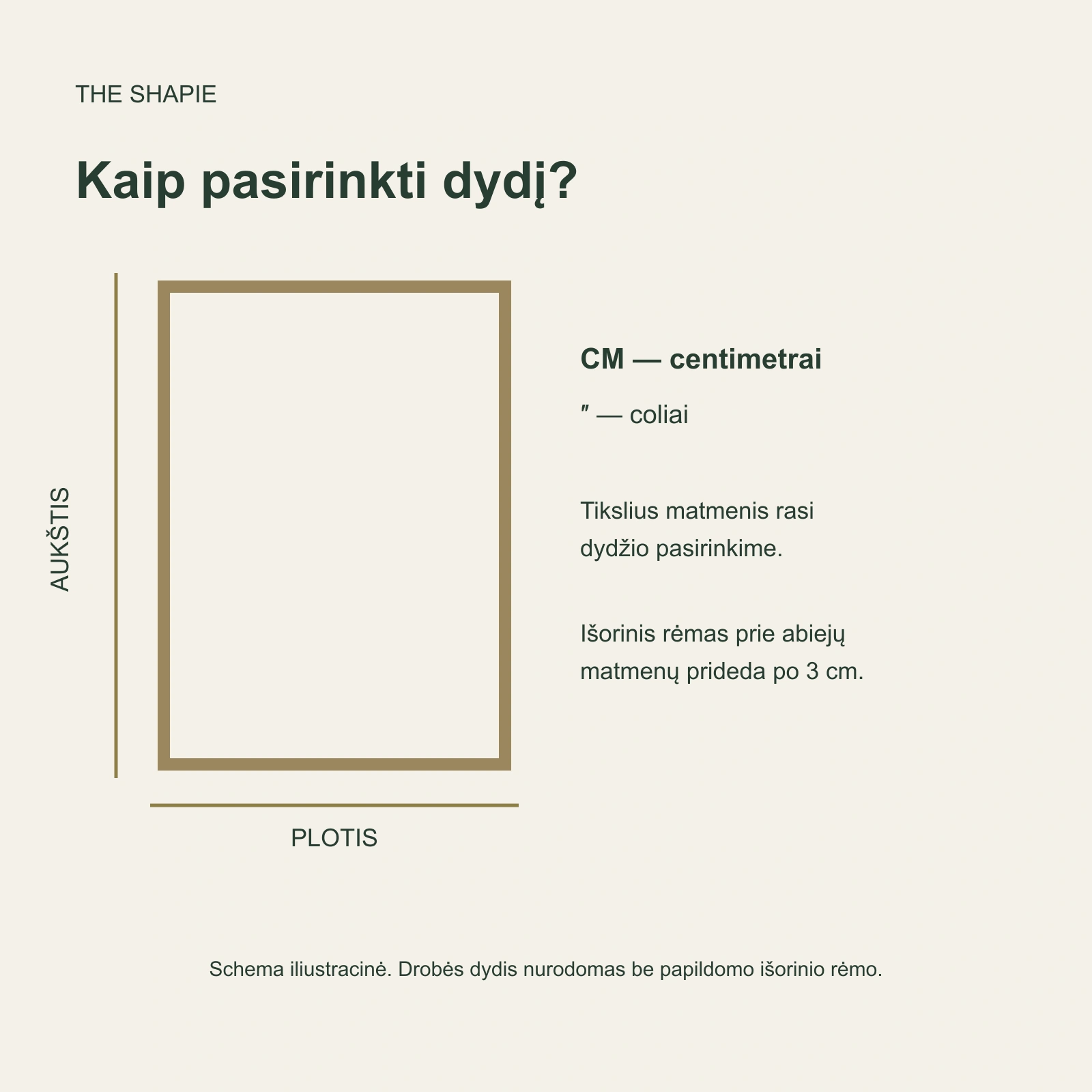 Paveikslo dydžių gidas