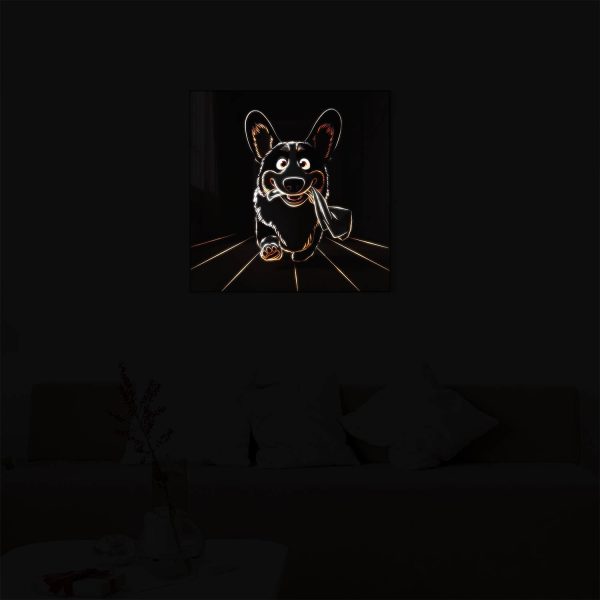 Happy Corgi illuminated at night