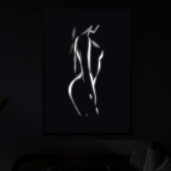 Shy illuminated at night