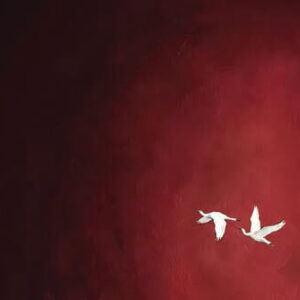 into the quiet