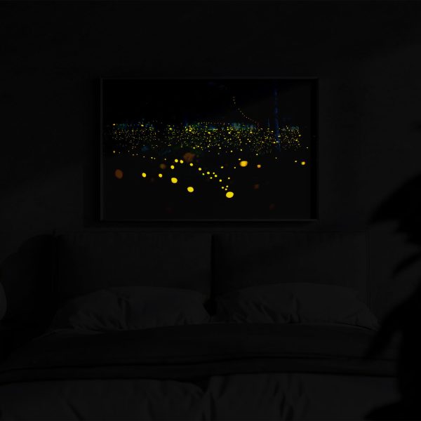 Night Fireflies bei Nacht beleuchtet
