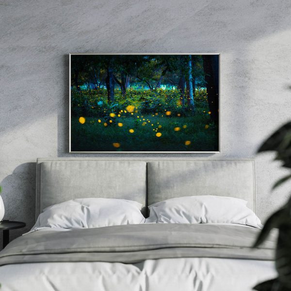 Night Fireflies in daylight