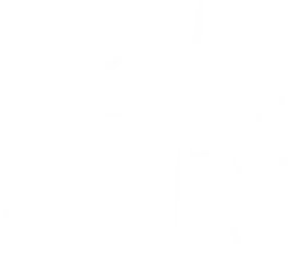 shapie logo white
